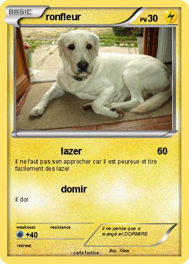 Pokemon ronfleur