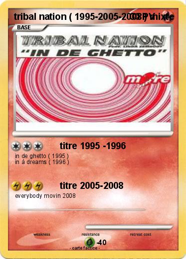 Pokemon tribal nation ( 1995-2005-2008 ) mixte