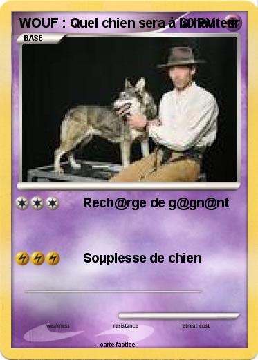 Pokemon WOUF : Quel chien sera à la hauteur