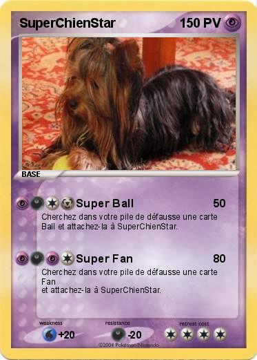 Pokemon SuperChienStar