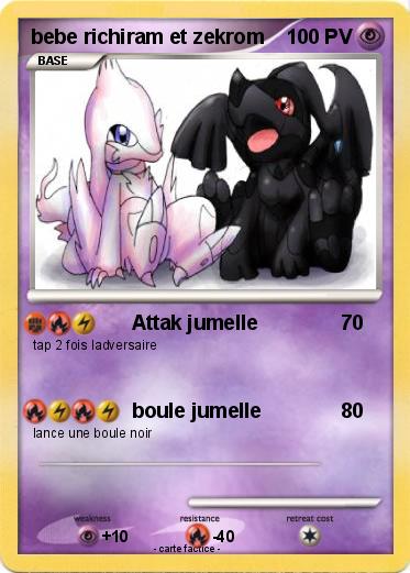 Pokemon bebe richiram et zekrom