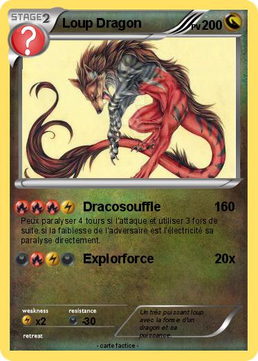 Pokemon Loup Dragon
