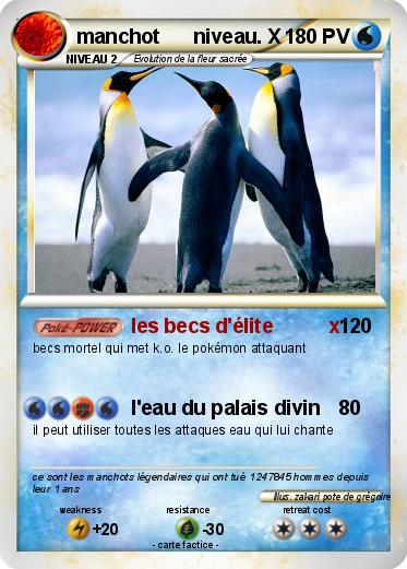 Pokemon manchot      niveau. X