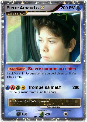 Pokemon Pierre Arnaud