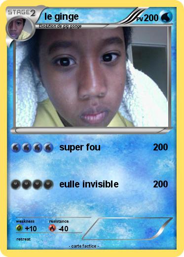 Pokemon le ginge