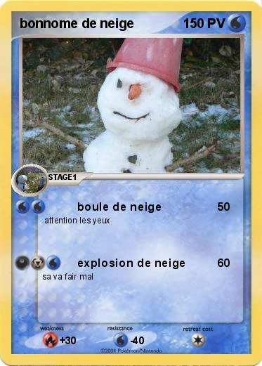 Pokemon bonnome de neige