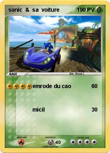 Pokemon sonic  &  sa  voiture