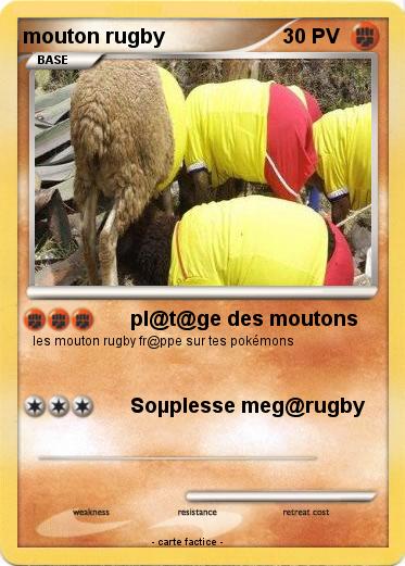 Pokemon mouton rugby