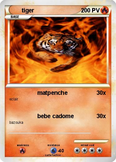 Pokemon tiger