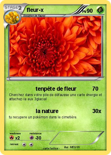 Pokemon fleur-x