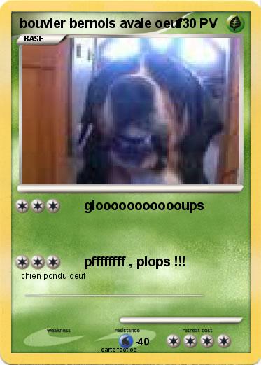 Pokemon bouvier bernois avale oeuf