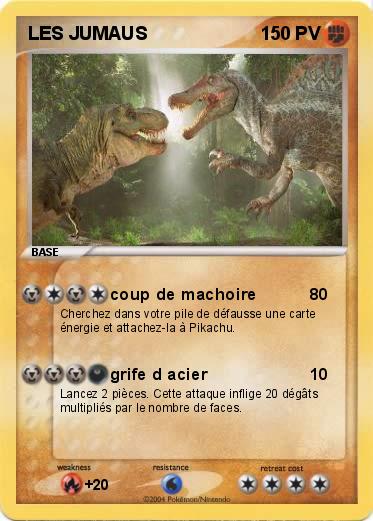 Pokemon LES JUMAUS