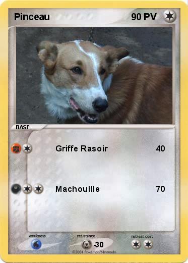 Pokemon Pinceau