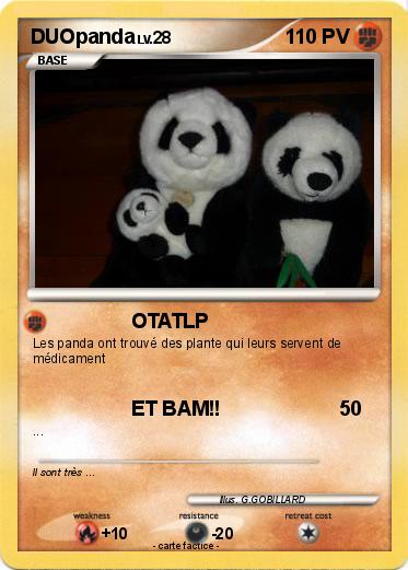 Pokemon DUOpanda
