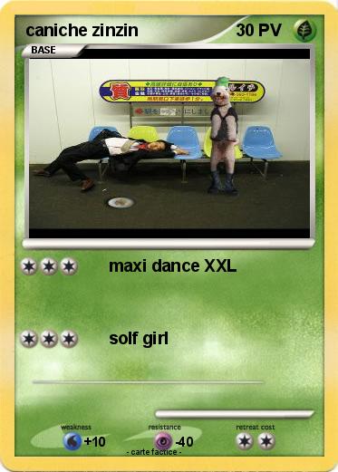 Pokemon caniche zinzin