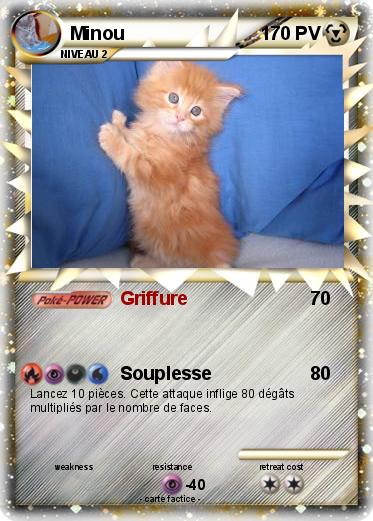 Pokemon Minou