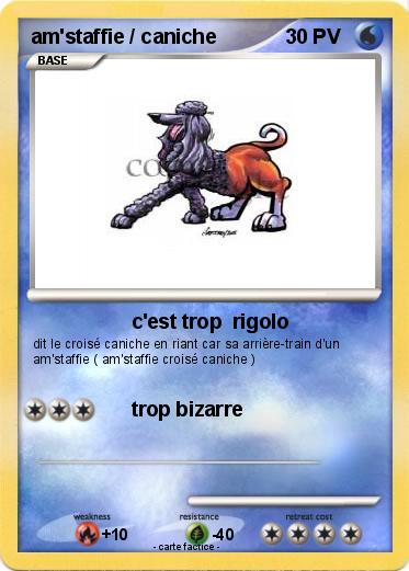 Pokemon am'staffie / caniche
