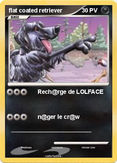 Pokemon flat coated retriever