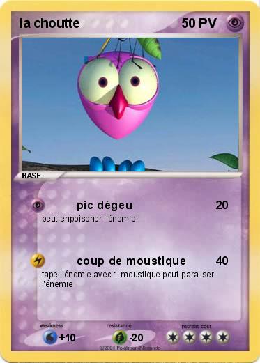 Pokemon la choutte 