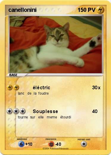 Pokemon canellonini