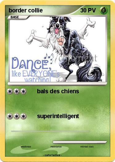 Pokemon border collie