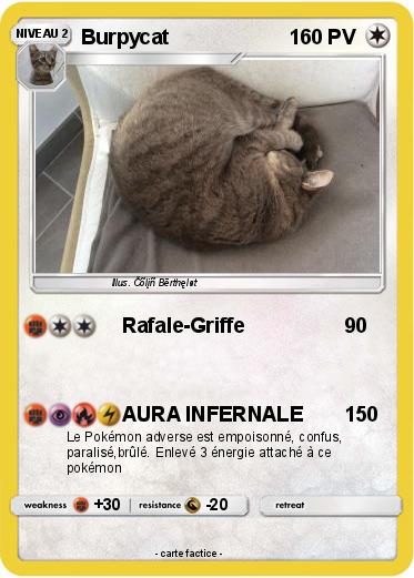 Pokemon Burpycat
