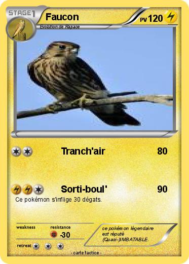 Pokemon Faucon