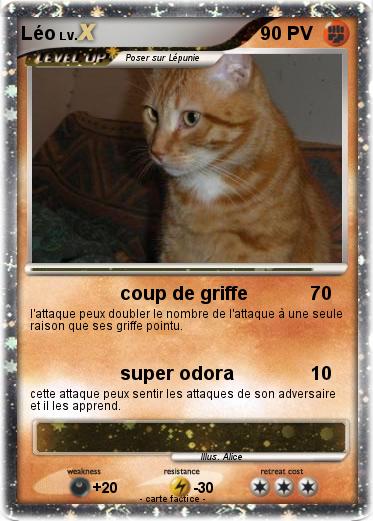 Pokemon Léo