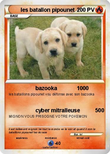 Pokemon les batallon pipounet