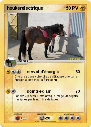 Pokemon houkerélectrique