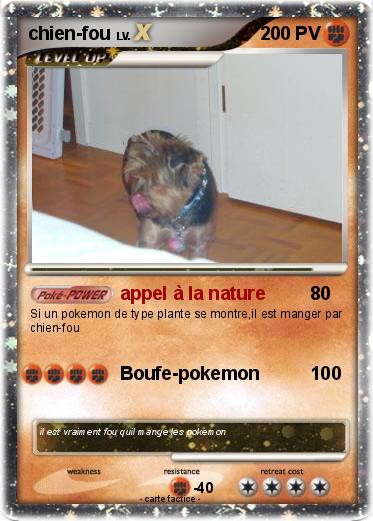 Pokemon chien-fou