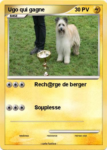 Pokemon Ugo qui gagne