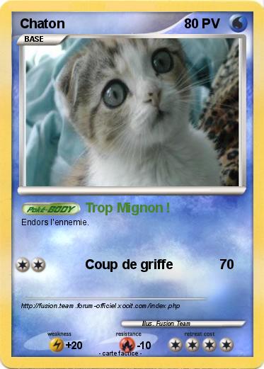 Pokemon Chaton