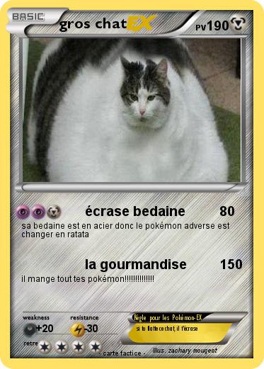 Pokemon gros chat