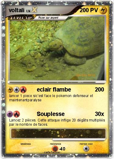 Pokemon voltali