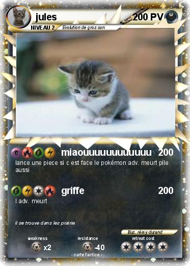 Pokemon jules