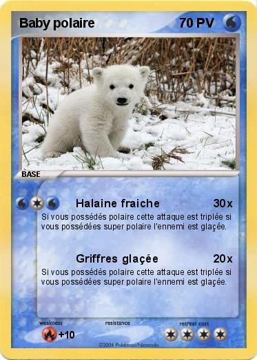 Pokemon Baby polaire