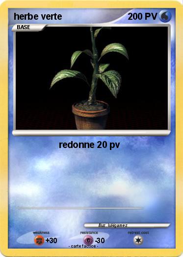 Pokemon herbe verte