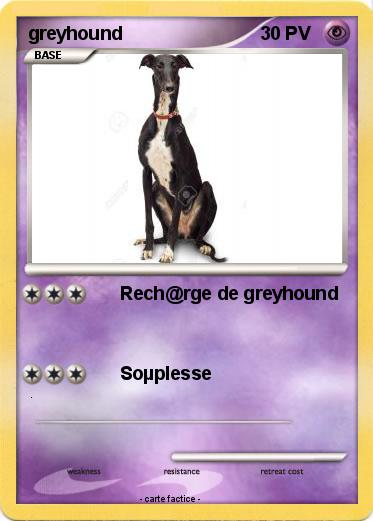 Pokemon greyhound