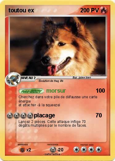 Pokemon toutou ex