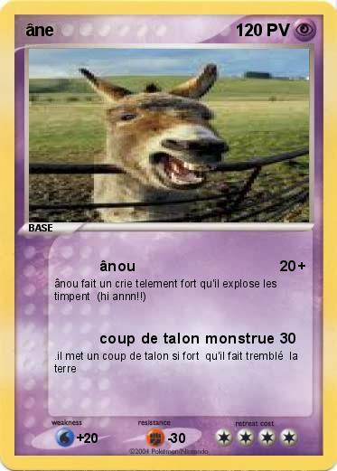 Pokemon âne