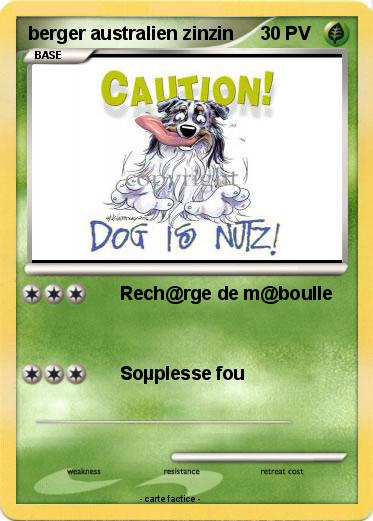 Pokemon berger australien zinzin