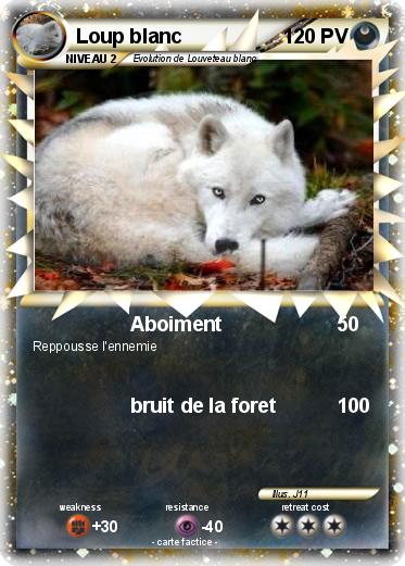 Pokemon Loup blanc