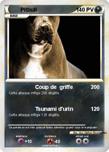 Pokemon Pitbull