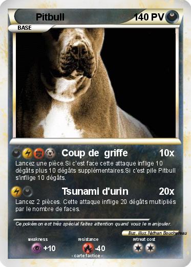 Pokemon Pitbull