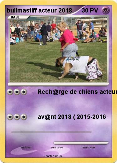 Pokemon bullmastiff acteur 2018