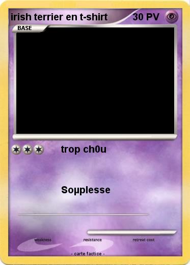 Pokemon irish terrier en t-shirt