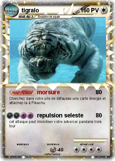Pokemon tigralo