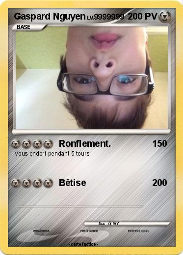 Pokemon Gaspard Nguyen