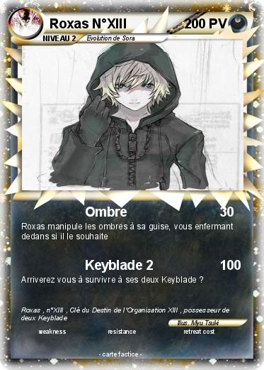 Pokemon Roxas N°XIII